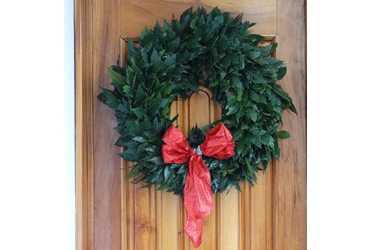 Árboles de Navidad Plantación las Rocas